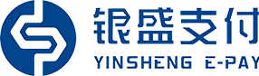 银盛支付